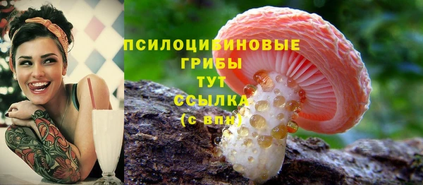 таблы Алексин