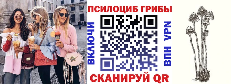 blacksprut зеркало  Любим  Галлюциногенные грибы GOLDEN TEACHER 
